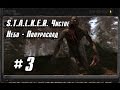 STALKER Чистое Небо - Полураспад #3 