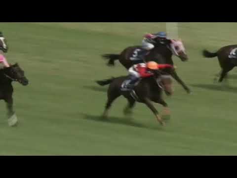 1999年　安田記念　エアジハード