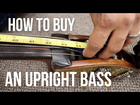 HOW TO BUY AN UPRIGHT BASS: 8 Tips For Beginners