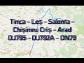 Tinca Arad