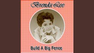 Build a Big Fence