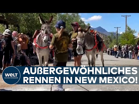 BURRO RACE: Packende Momente in der Wüste! Menschen und Esel durchlaufen Parcours durch die Wildnis!