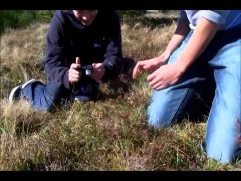 Inside of BRAS Laguiole #5