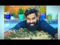 200 കാടകുഞ്ഞുങ്ങളെ വിരിയിച്ചപ്പോൾ Haching 20