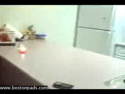 Boston Apartment Sales, Real Estate, Medford Boston, MA