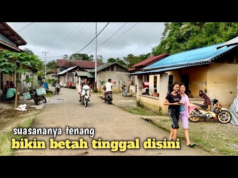 Kampung dayak dekat perbatasan indonesia malaysia