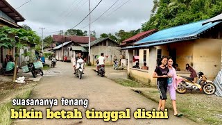 Download lagu Dayak village near the Indonesia-Malaysia border mp3 Download lagu Dayak village near the Indonesia-Malaysia border mp3