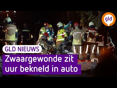 GLD Nieuws 31 juli 2023