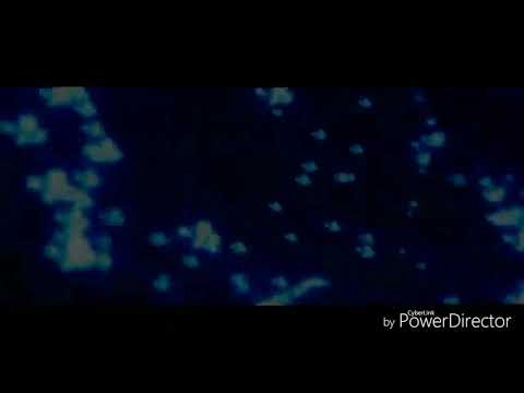 Věnováno verči oršove