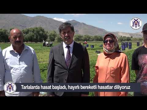 Belediye Başkanımız Bekir Aksun Tarlalarda çalışan işçileri ziyaret etti 19.07.2023