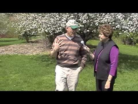 Welcome to the Acton Arboretum