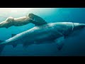 Jason Momoa Rides A Shark Chief Of War