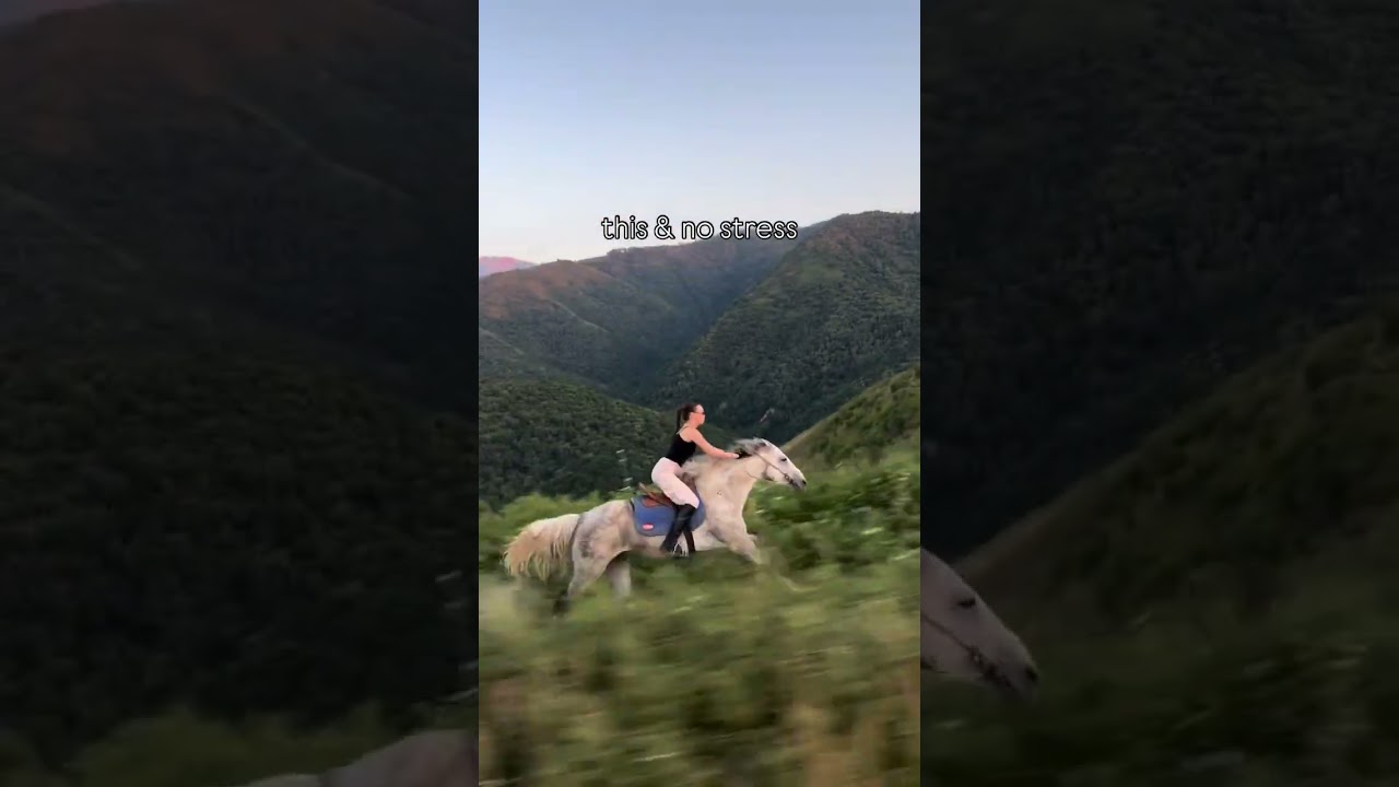 POV: This & No Stress 🐎🏔️✨#HorseRiding #MountainLife #NoStress #PeacefulLife #NatureLovers #HorseLov