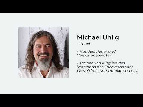 Gewaltfreie Kommunikation: Ein Angebot
