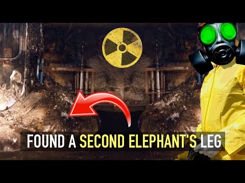 Second Elephant Leg discovered in Chernobyl, sister of Elephant Leg