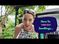 How To Thin Out Seedlings The Easy Way
