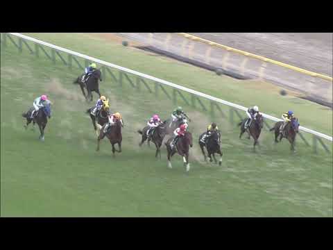 Danon the Kid wins Tokyo Sports Hai 2yo Stakes (G3) at Tokyo 11/23/2020
