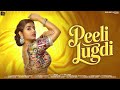 Peeli Lugdi Official Video New Rajasthani Song Asheesh Divya Anil Dhanraj Shikha Nizam