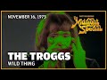 Wild Thing - The Troggs | The Midnight Special