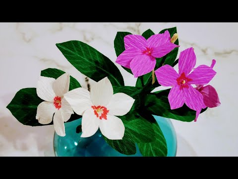 DIY Crepe paper Vinca flowers / Sadabahar flowers