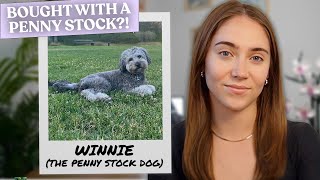 I Bought My Dog With a Penny Stock (True Story)