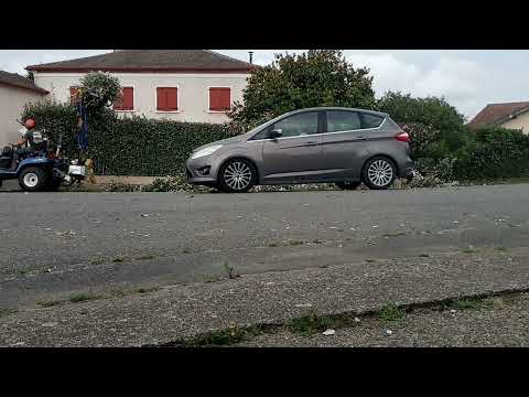 Diminution haie Eleagnus à Maylis (Landes 40) iseki txg 237 trimmy evo marolin taille haie epareuse