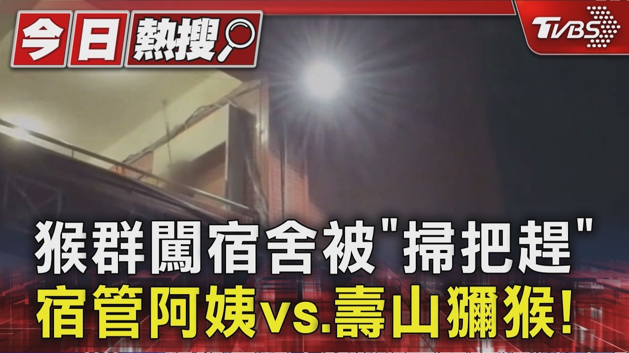 煞氣a宿管阿姨開打! 中山大學猴群闖宿舍 掃把一揮10多隻落荒而逃|TVBS新聞 @TVBSNEWS01
