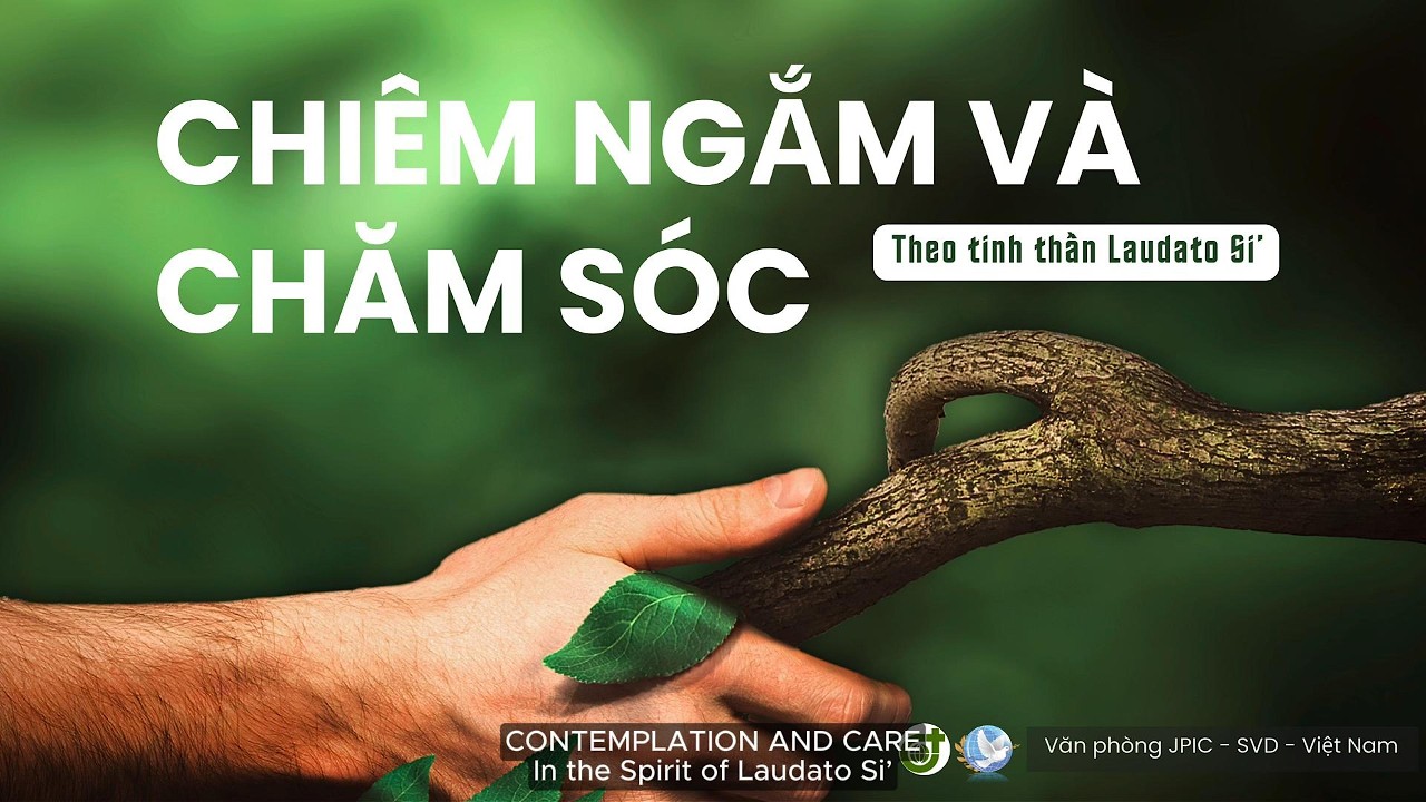 Chiêm Ngắm Và Chăm Sóc Theo Tinh Thần Laudato Si'
