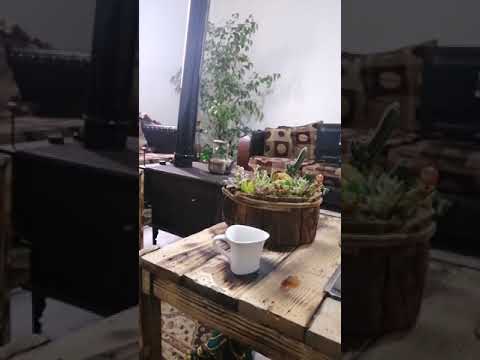 صباح الخير من الحجر المنزلي  #lockdown #lebanon #لبنان #بيروت #جنوب_لبنان