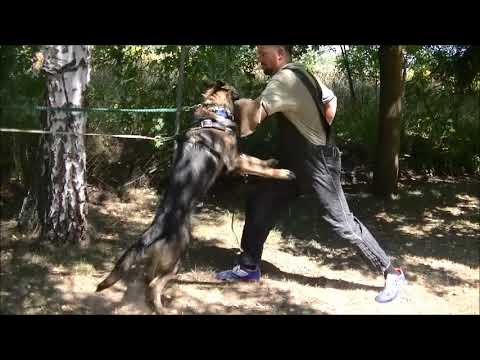 Unkas Ad-gur 12 months