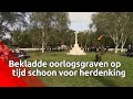 Bekladde oorlogsgraven in Mierlo op tijd schoon: herdenking ging door na snelle schoonmaakbeurt