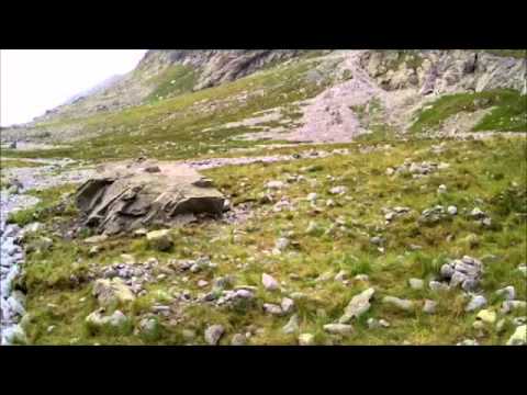 Tatrzańskie świstaki