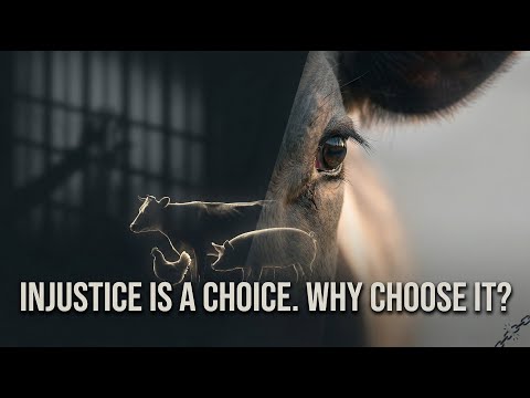 Animal injustice is a choice. Why choose it? – Non-Buddhism