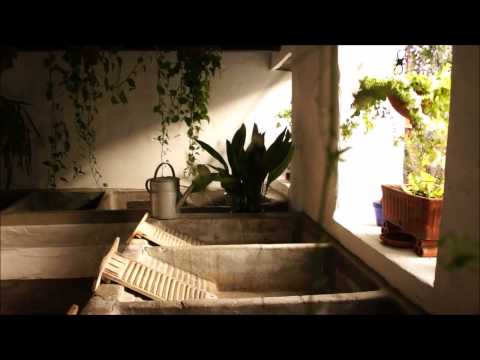 la primavera de Córdoba en sus patios de Mari Carmen Roses