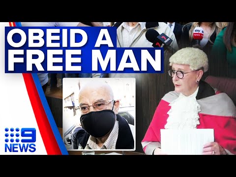 Eddie Obeid released on bail minutes after being sentenced to jail | 9 News Australia