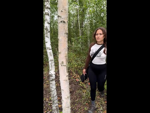 𝗪𝗼𝗿𝗹𝗱'𝘀 𝗹𝗼𝗻𝗴𝗲𝘀𝘁 𝗳𝗼𝗹𝗱𝗶𝗻𝗴 𝘀𝗮𝘄 𝘄𝗶𝘁𝗵 𝗮 𝗺𝗮𝘀𝘀𝗶𝘃𝗲 𝟭𝟬𝟬 𝗰𝗺 𝗯𝗹𝗮𝗱𝗲