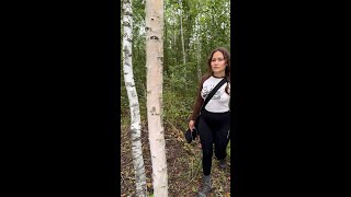 Download lagu 𝗪𝗼𝗿𝗹𝗱'𝘀 𝗹𝗼𝗻𝗴𝗲𝘀𝘁 𝗳𝗼𝗹𝗱𝗶𝗻𝗴 𝘀𝗮𝘄 𝘄𝗶𝘁𝗵 𝗮 𝗺𝗮𝘀𝘀𝗶𝘃𝗲 𝟭𝟬𝟬 𝗰𝗺 𝗯𝗹𝗮𝗱𝗲 mp3 Download lagu 𝗪𝗼𝗿𝗹𝗱'𝘀 𝗹𝗼𝗻𝗴𝗲𝘀𝘁 𝗳𝗼𝗹𝗱𝗶𝗻𝗴 𝘀𝗮𝘄 𝘄𝗶𝘁𝗵 𝗮 𝗺𝗮𝘀𝘀𝗶𝘃𝗲 𝟭𝟬𝟬 𝗰𝗺 𝗯𝗹𝗮𝗱𝗲 mp3