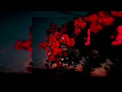 *FREE* lil peep x guardin x lil lotus type beat - have to go [prod. metlast]