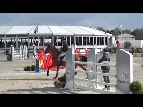 Verdiamo 1m30 csi *** Zangersheide