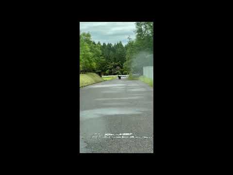 YouTube Video 午前中少なくとも6件のクマの目撃情報　工業団地付近で連日目撃　市は注意呼びかけ　静岡・裾野市　　