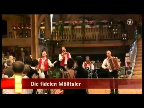 Die Fidelen Mölltaler   Gold, Platin und Diamant