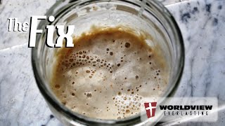 The Fix: The Law Abides