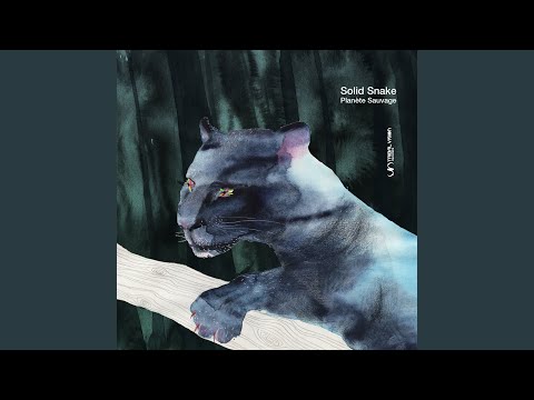 Tribal Dancer (Solid Snake Remix)