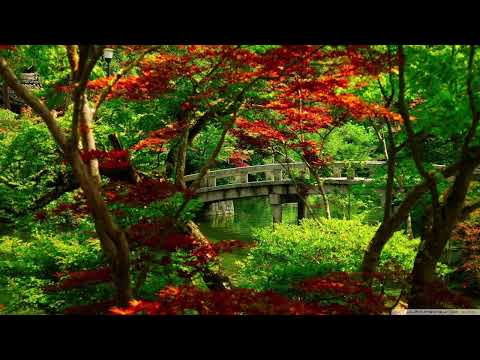 ALAN WATTS CHILLSTEP 7 🌟 TERRESTRIAL EXITIUM🌟