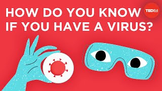 How do virus tests actually work? - Cella Wright