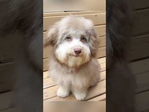 Test di maturità, se ridi, perdi!