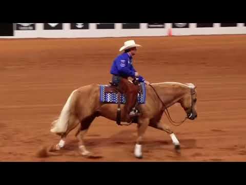 Casey deary and custom dreams at 2025 NRHA