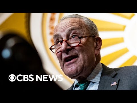 Can Schumer survive calls to resign over shutdown vote?