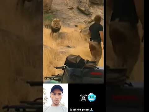 Lion Attack On Men 🥶☠️ #lion #attack #shorts #ytshorts #youtubeshorts