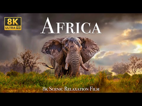Africa 8K - Scenic Relaxation Film With Calming Music